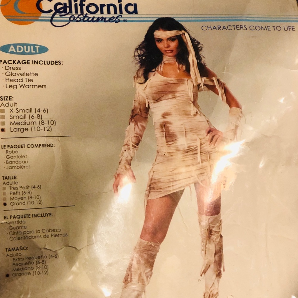 Mystical Mummy Costume